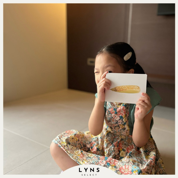 語彙啟蒙卡/語言工作圖卡