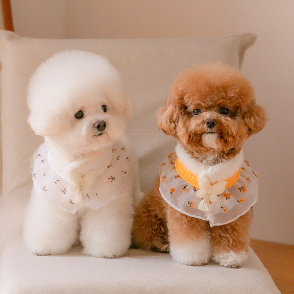 Scamper｜喜氣花朵披肩