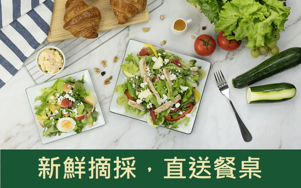 誠毅鮮物無毒安心萵苣現摘直送餐桌