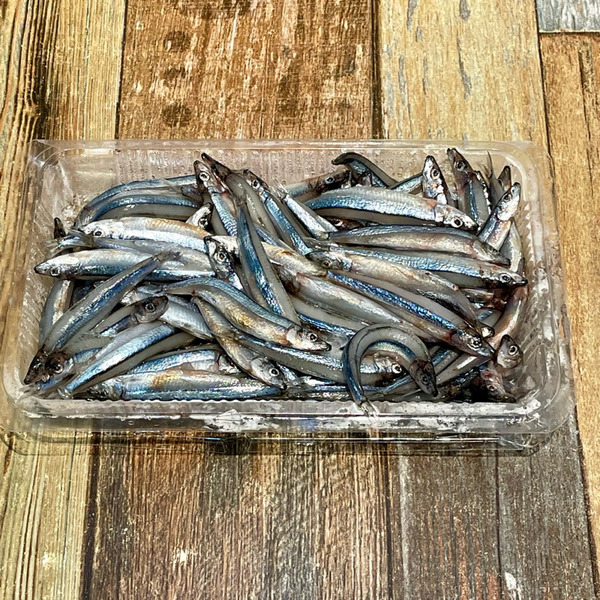 丁香魚