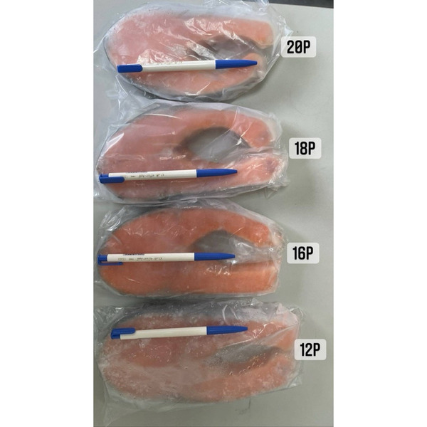 鮭魚片/6公斤/件