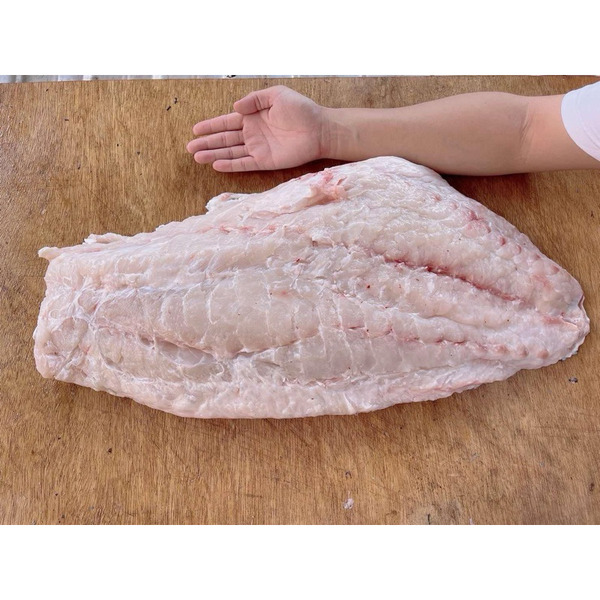 龍膽石斑清肉/5-7台斤/片