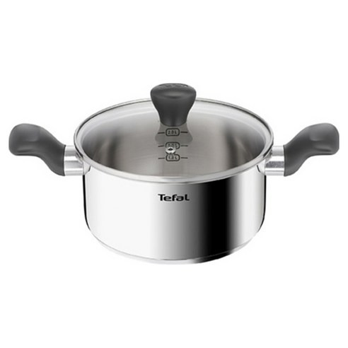 Tefal 特福 Easy Cook系列 IH不鏽鋼雙柄湯鍋, 銀色, 1個, 20cm