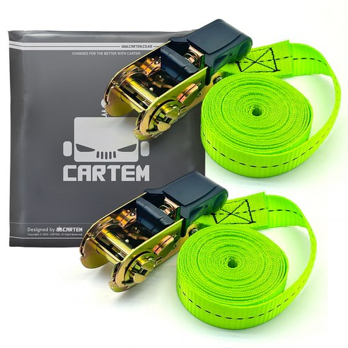 CARTEM 車用貨物固定束帶 CT449, 2個, 2.5cm 寬 x 3m 長