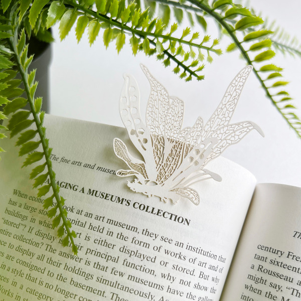 【FERN ONLY 】 蕨類標本紙雕4.0