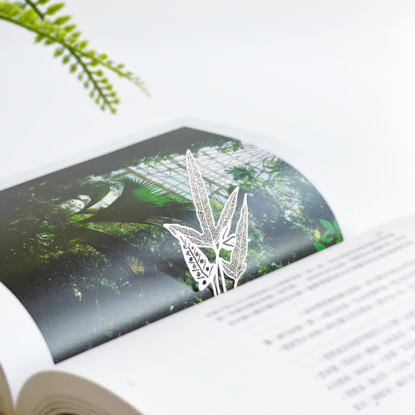 【FERN ONLY 】蕨類標本紙雕5.0