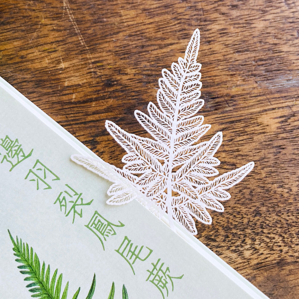 【FERN ONLY 】蕨類標本紙雕2.0