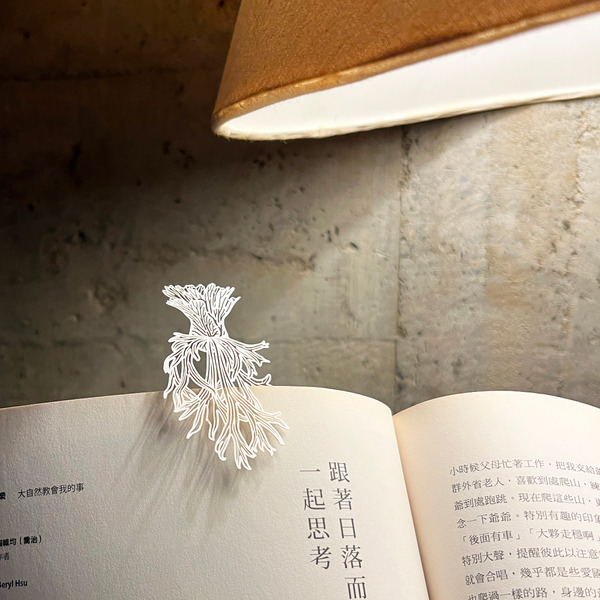 【FERN ONLY 】蕨類標本紙雕3.0