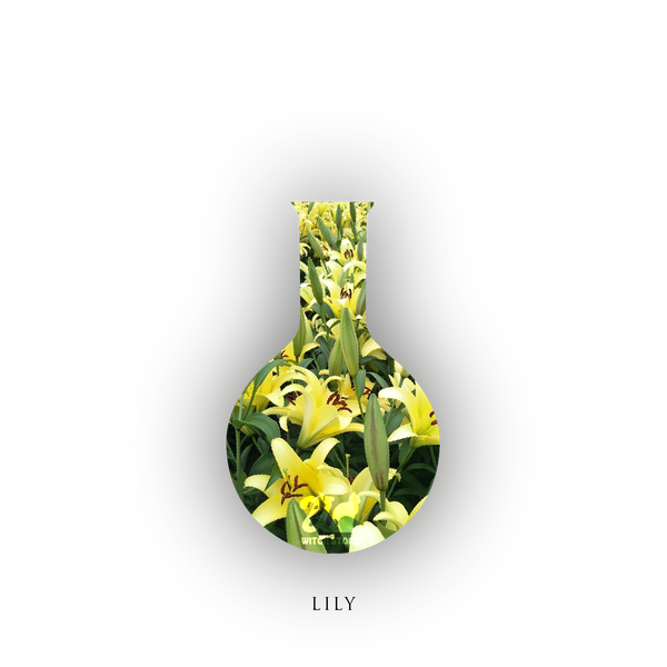 【魔女柑仔店】百合花純露