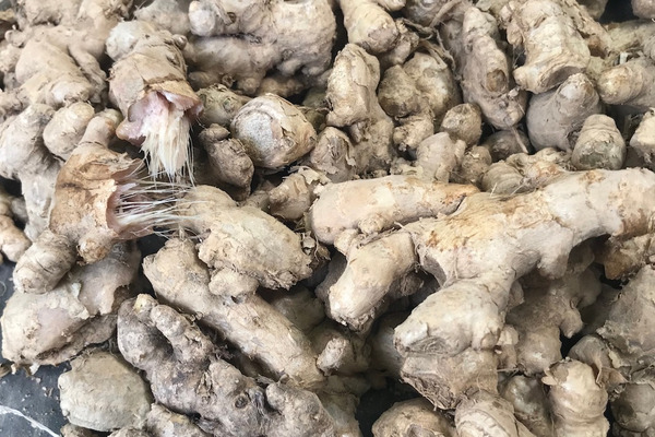 【好好找油】生薑精油