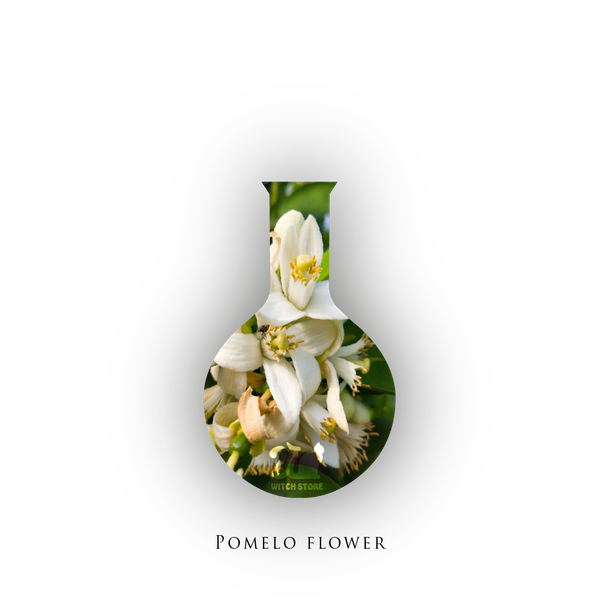 【魔女柑仔店】西施柚花純露