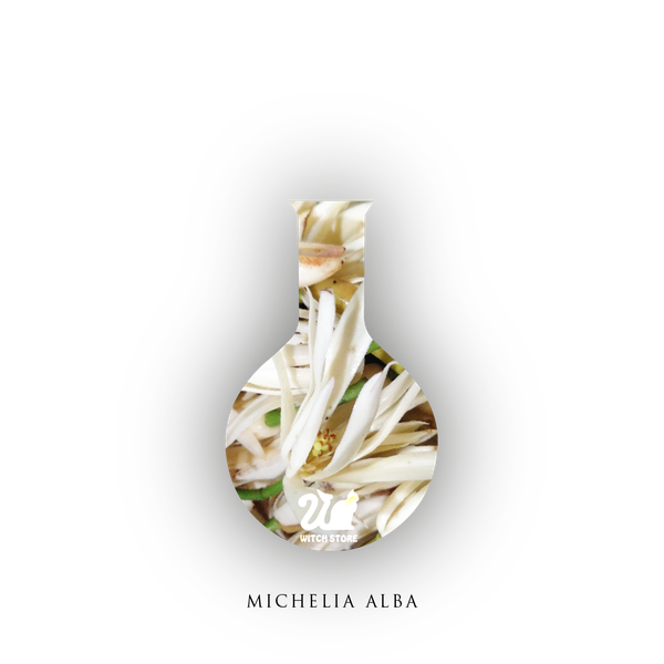 【魔女柑仔店】台灣產白玉蘭花純露