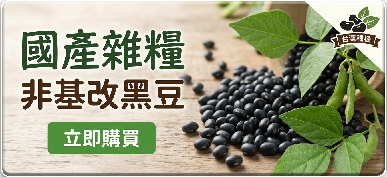國產黑豆
