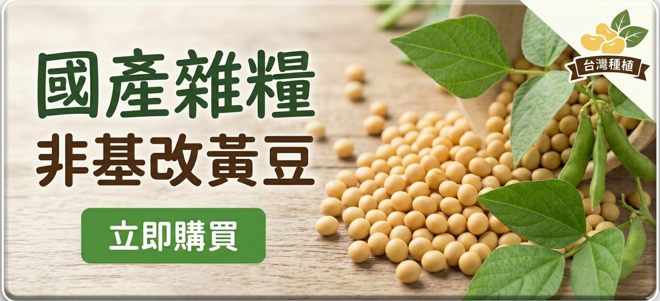 非基改黃豆
