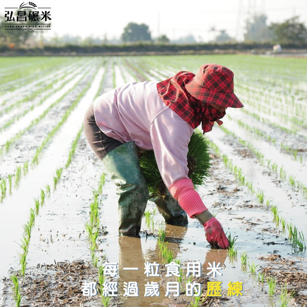 [營業用米]台南有機米-30kg(非聯運區域免運,大榮貨運配送)