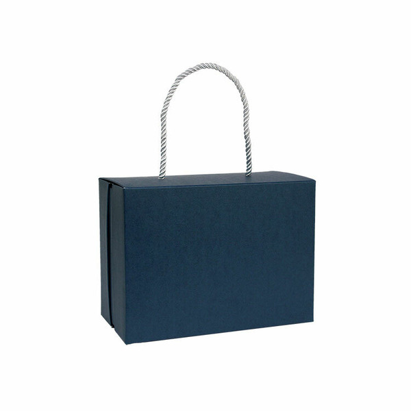 雙蓋提盒(XS) 石墨藍 (10入)_3A15-110002