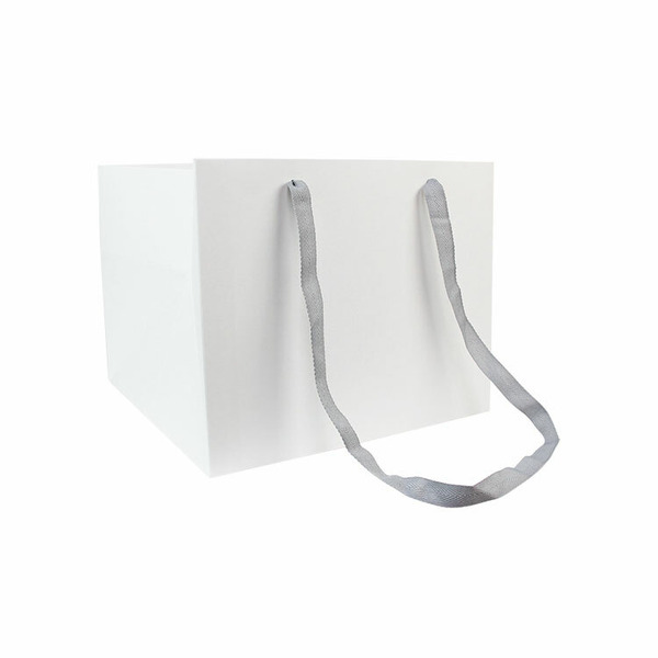 手提紙袋〔1K-L〕無印白 (10入)_3-2311100