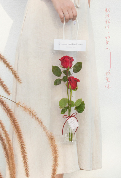 透明禮品提袋 花袋 (10入)【5種尺寸】