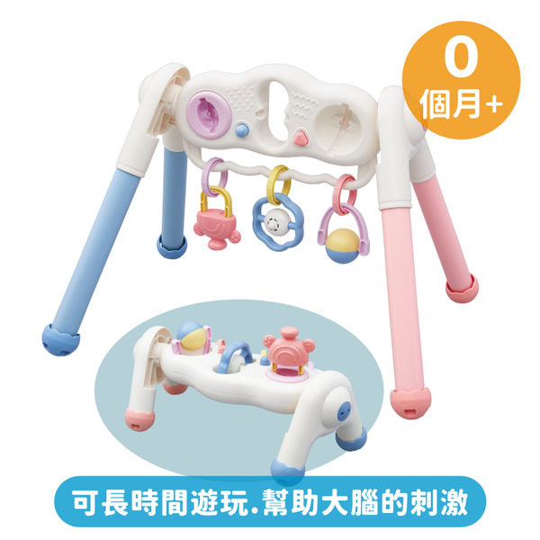 Toyroyal樂雅｜寶寶二合一智育健力架(NO.3811)
