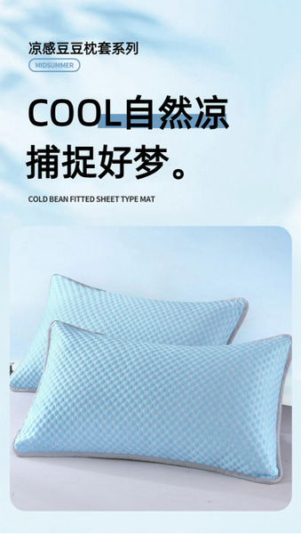 FB-6133 夏日純色冰豆豆涼感枕套 (一對入)