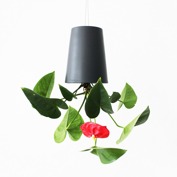 天空之盆_Self-Watering倒掛花器 Medium 12cm