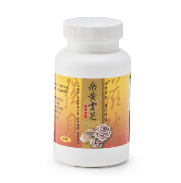 桑黃雲芝