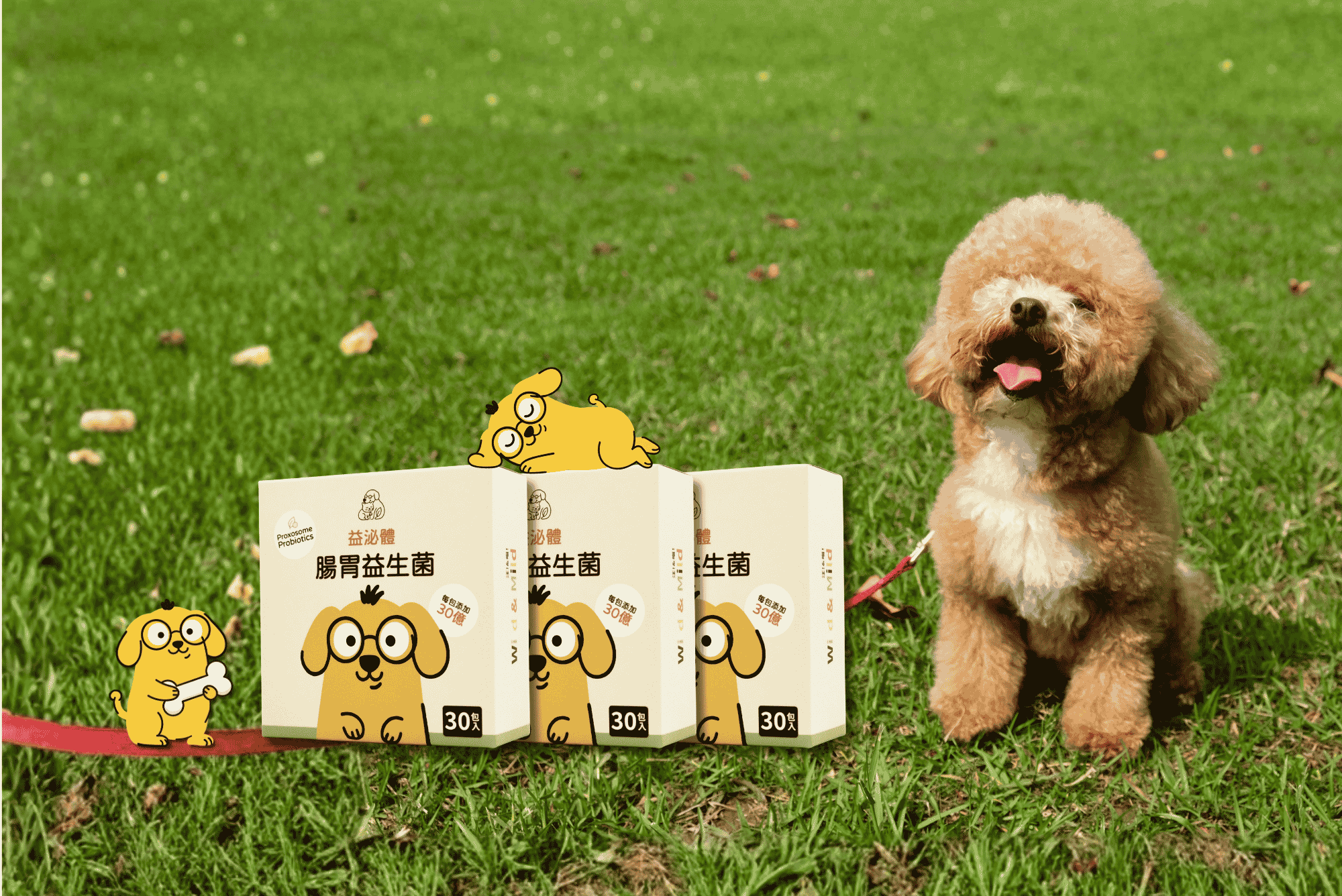 嘟嘟與益泌體腸胃益生菌