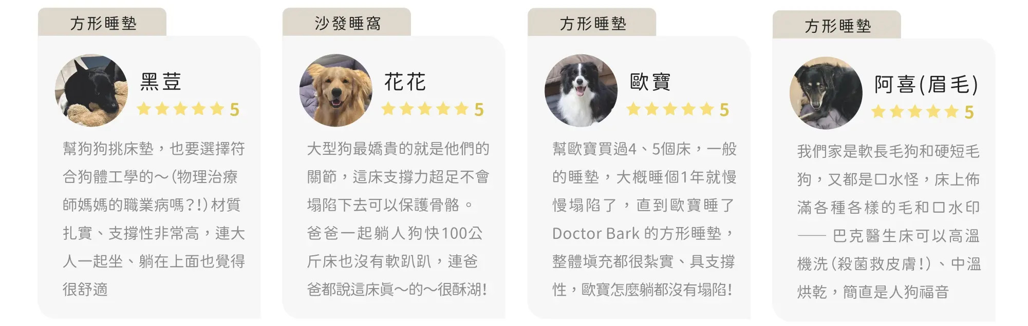 你知道狗狗一天需要多少睡眠嗎？ Doctor Bark 巴克醫生