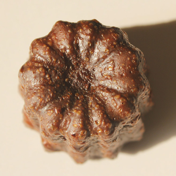 經典香草（3入.5入.9入）