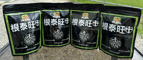 土博士 根泰旺