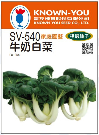 (SV-540)牛奶白菜