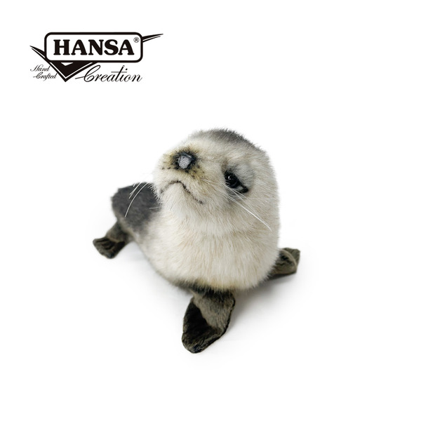 Hansa 6700-非洲毛皮海獅 26公分