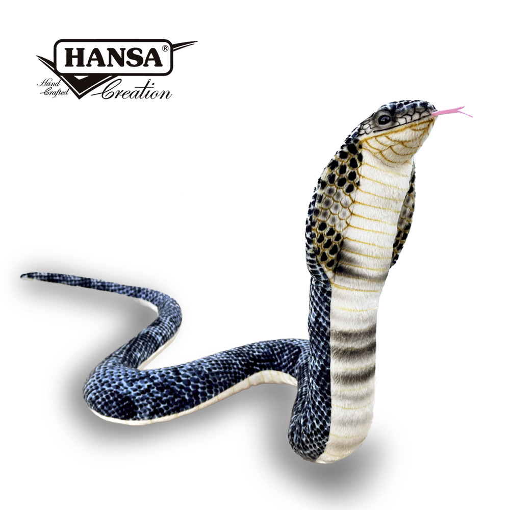 Hansa 6472-眼鏡蛇86公分mrfossil化石先生