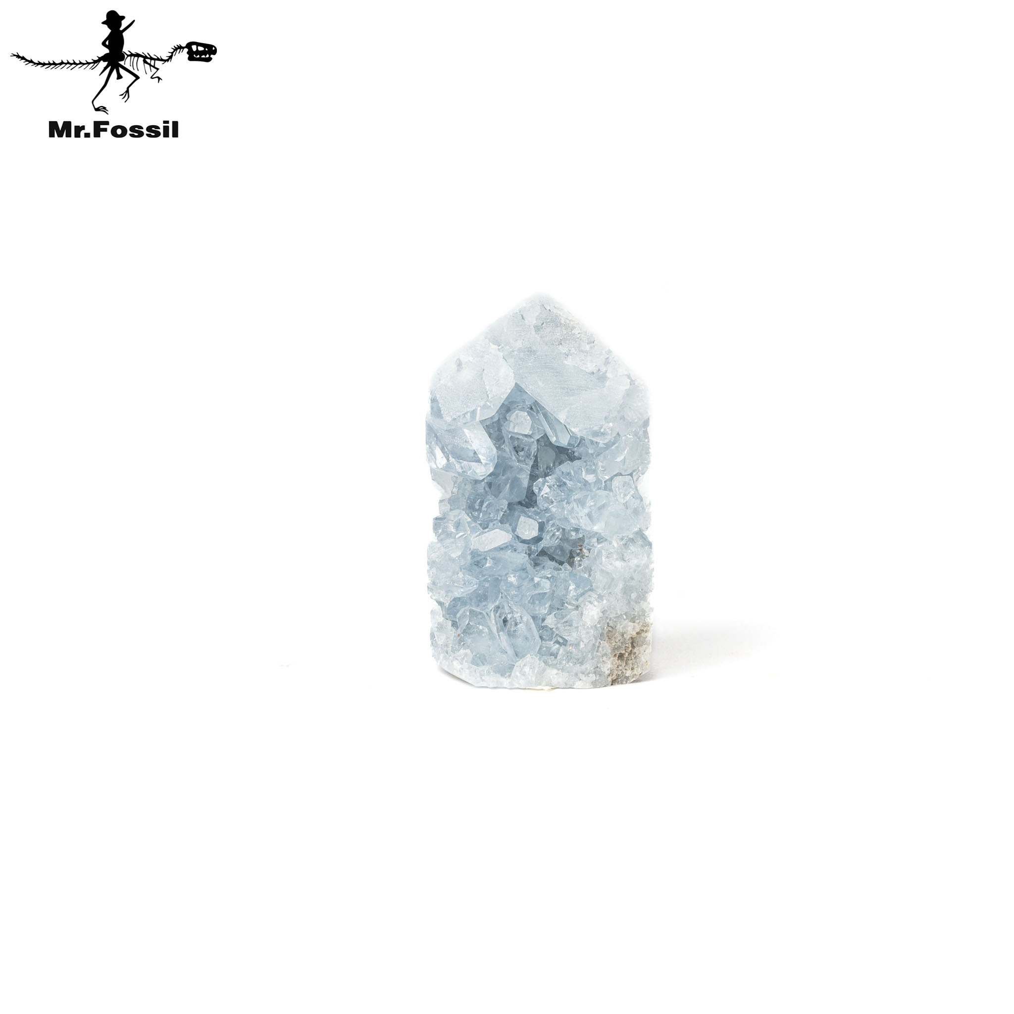 天青石#12 mrfossil化石先生