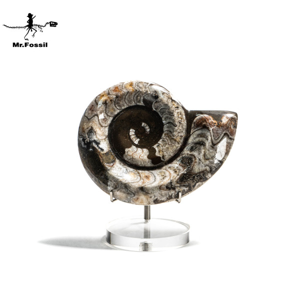 石　菊花石　M１４５８ 石 菊花石 M1458