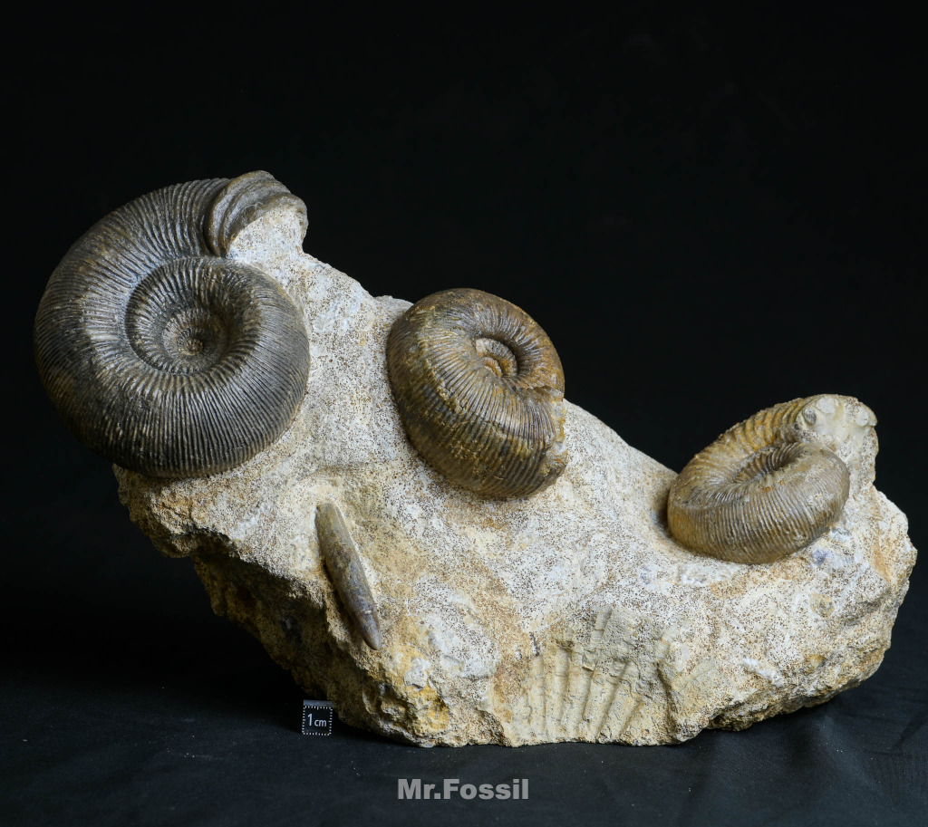 W1siZiIsIjMyMzE0L3Byb2R1Y3RzLz