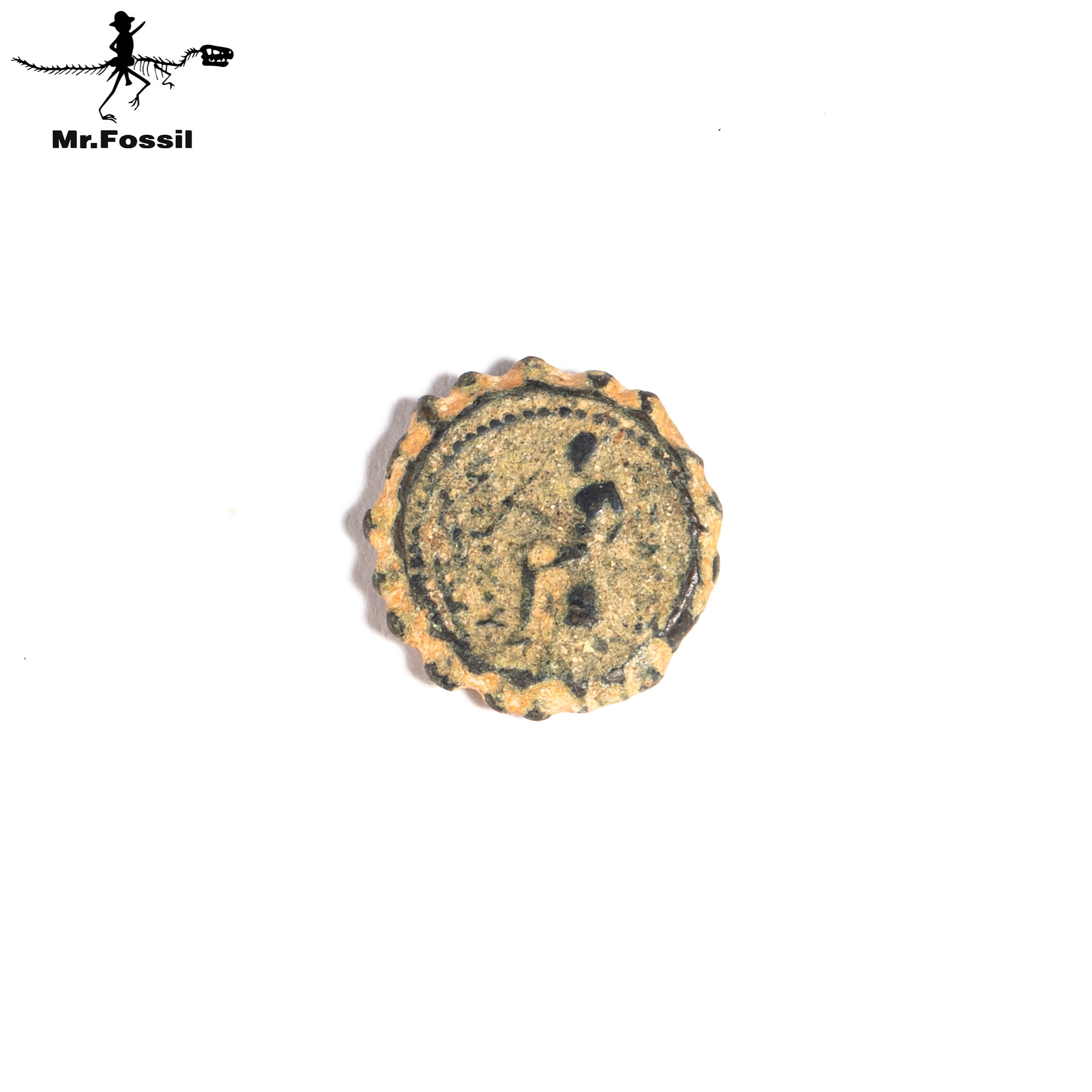 古希臘-賽琉古王國銅幣#21 mrfossil化石先生