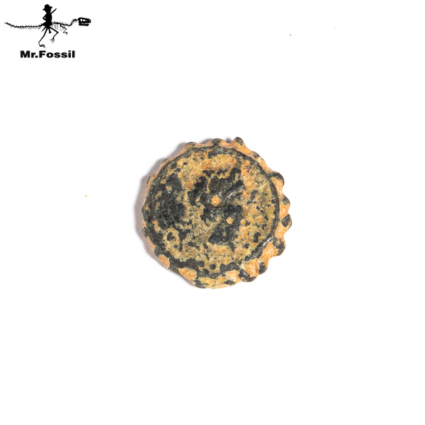 古希臘-賽琉古王國銅幣#21 mrfossil化石先生