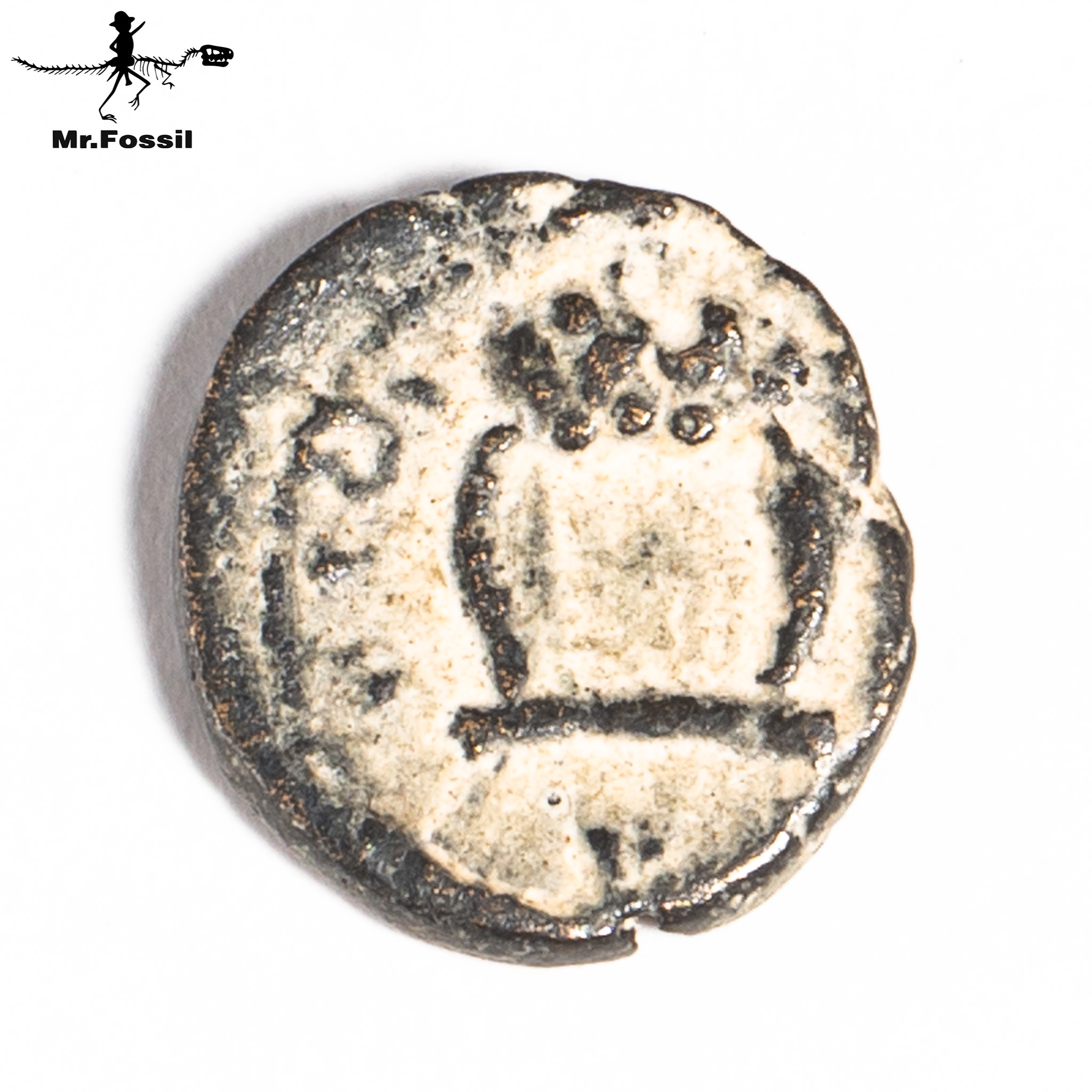 古希臘-賽琉古王國銅幣#23 mrfossil化石先生