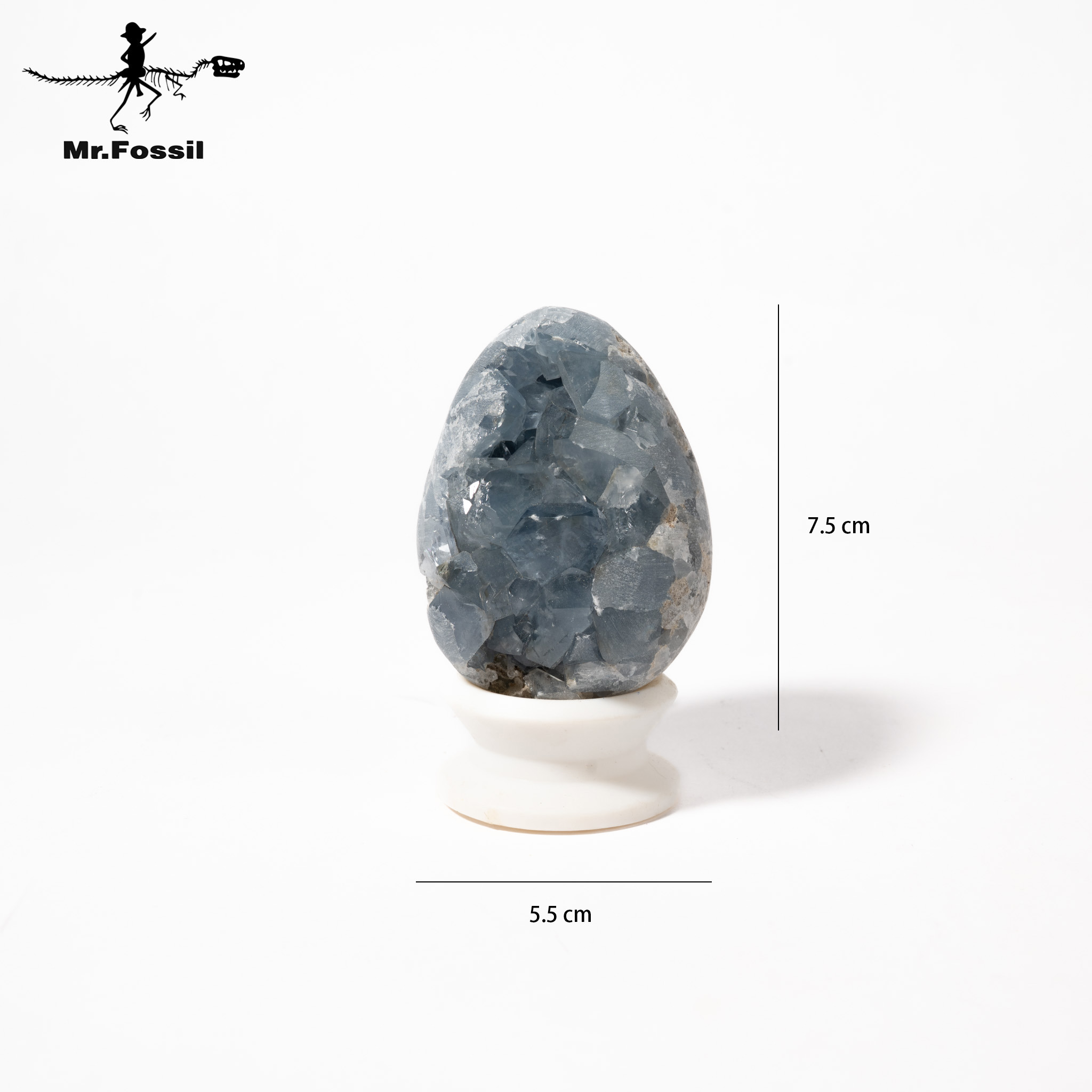 天青石蛋#3 mrfossil化石先生