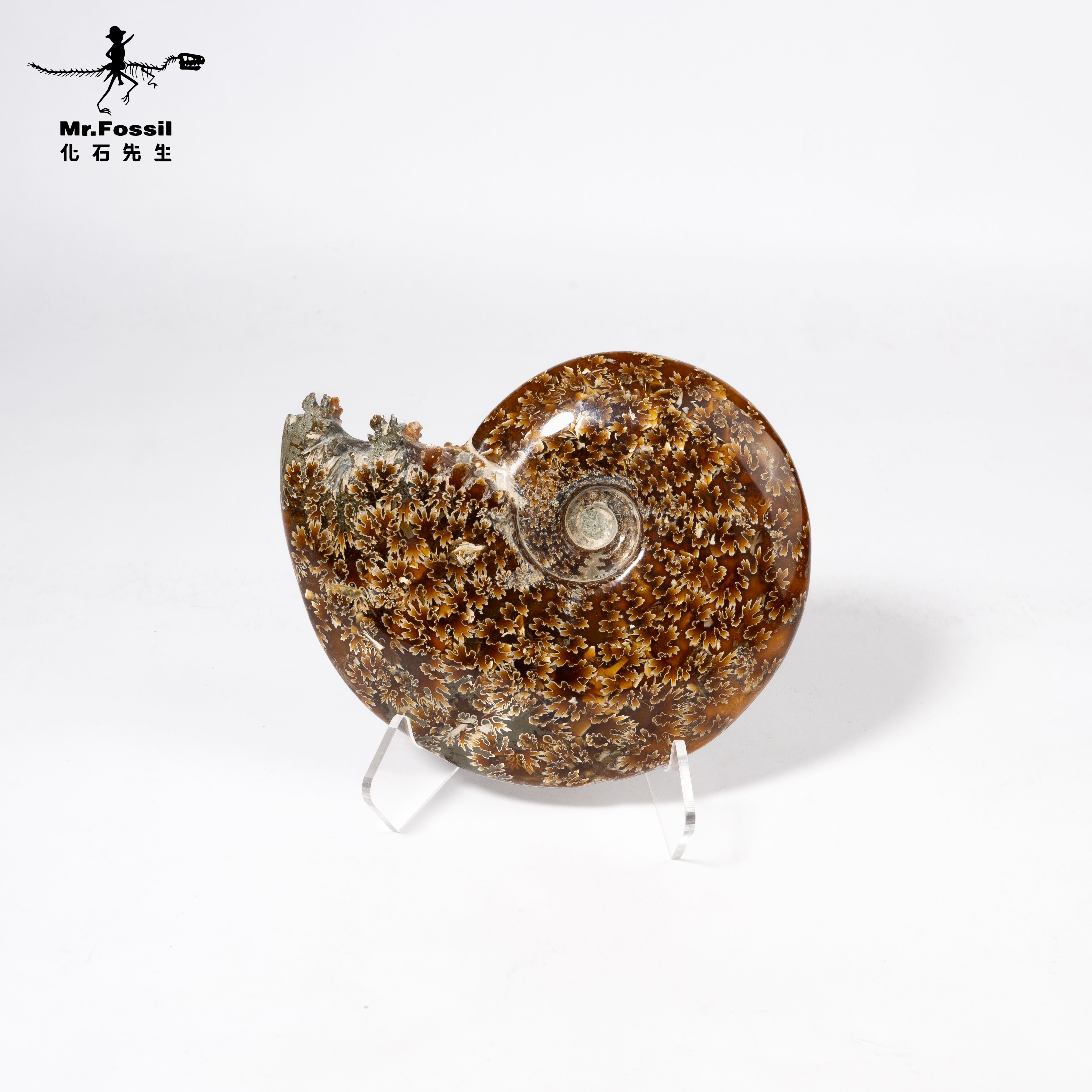 W1siZiIsIjMyMzE0L3Byb2R1Y3RzLz