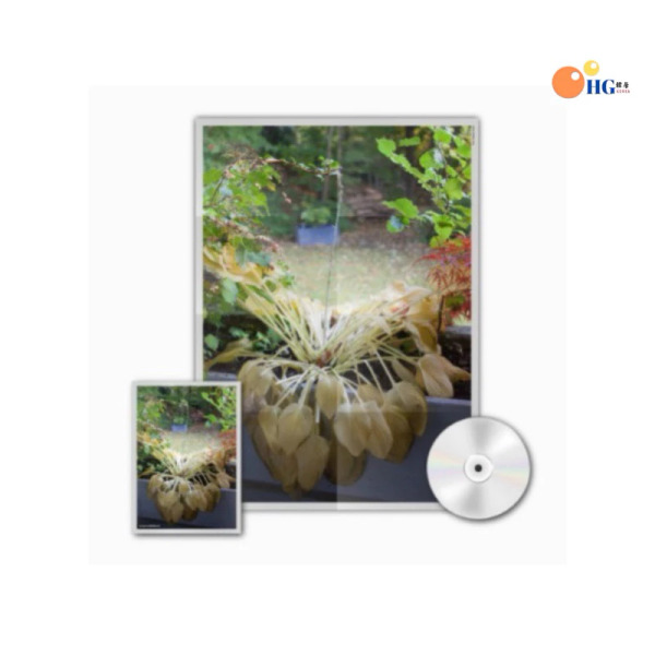 HYUKOH - THROUGH LOVE 專輯