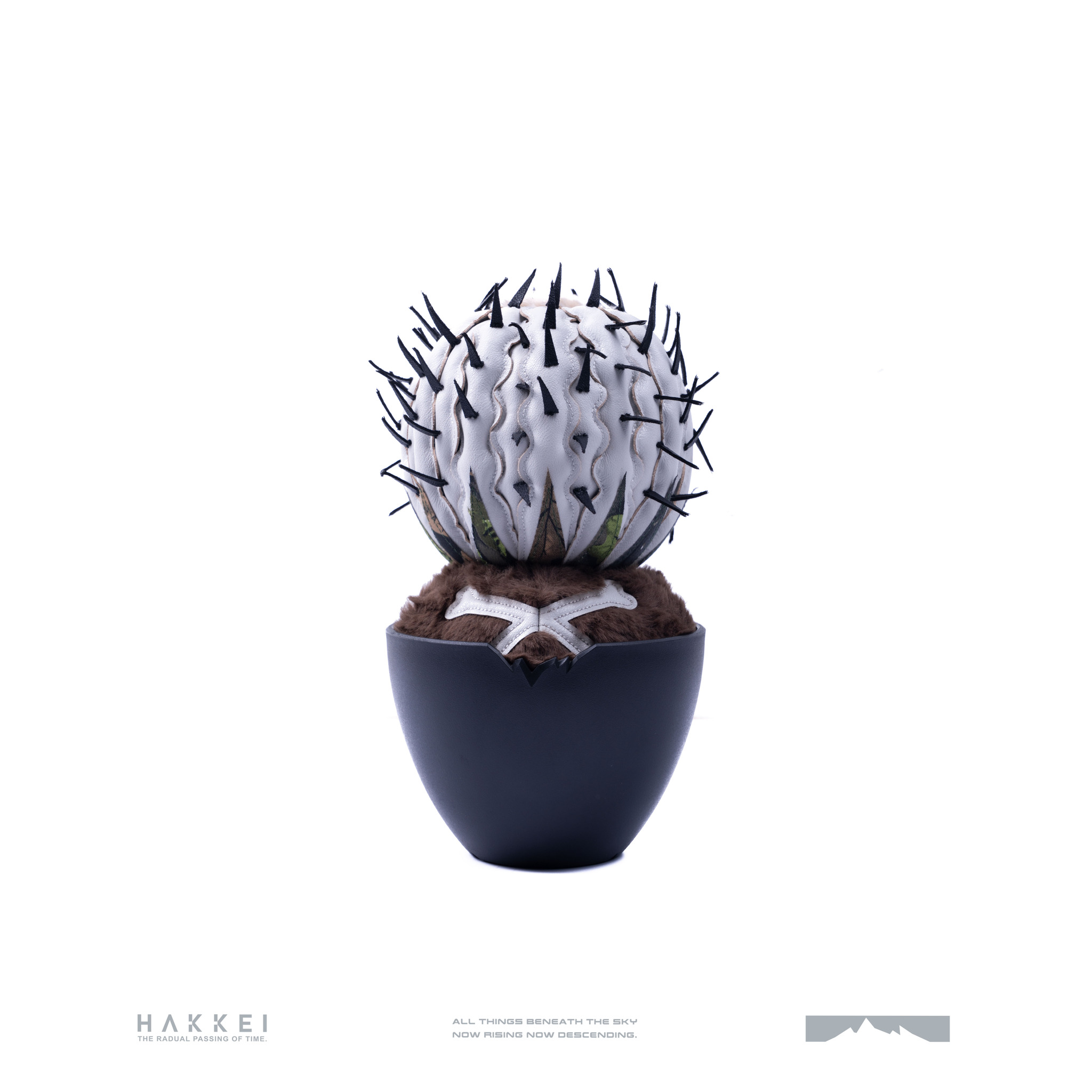 HAKKEI 白景--黑王丸Copiapoa Cinerea Bhome ｜MAD et LEN TAIWAN官方網站