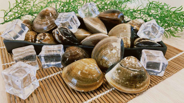 好美活水文蛤(600g±5%/包，約36~40顆)【好美農漁產業有限公司】