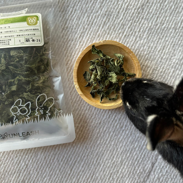 保健草｜綠薄荷 (鼠/兔適用)