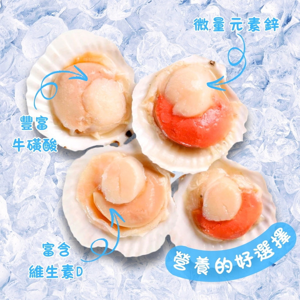 鮮凍半殼扇貝（300g）