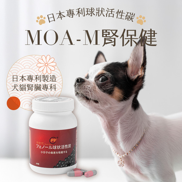 MOA-M球狀活性炭腎保健產品
