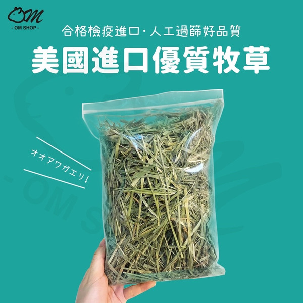 嗡尼嚴選｜美國提摩西草 果園草