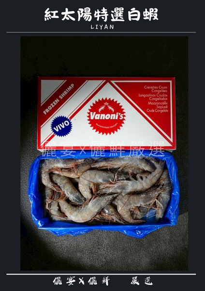 紅太陽活凍白蝦