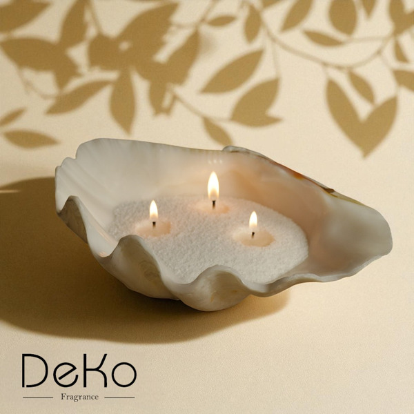 硨磲貝造型香氛沙蠟容器｜天然貝殼（可搭配200g/800g香氛沙蠟使用）